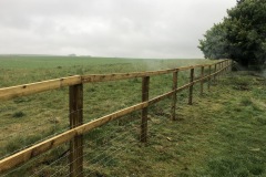 IMG_2793