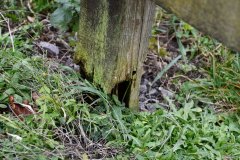 Noll-Countryside-Service-Fencing-20