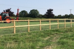 Noll-Countryside-Service-Fencing-36