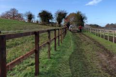 Noll-Countryside-Service-Fencing-51