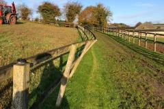 Stock-Fencing-18