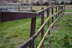 Stock-Fencing-2