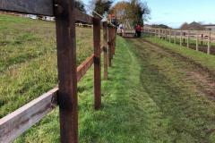 Stock-Fencing-22