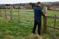 Stock-Fencing-4