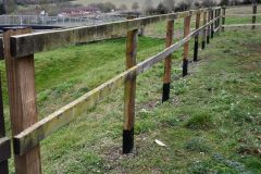 Stock-Fencing-7