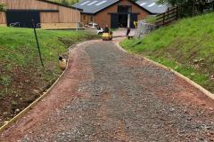Horse-Track-2