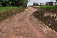 Horse-Track-4