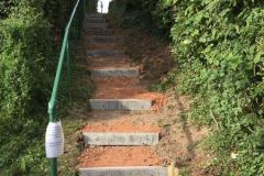 Restored steps