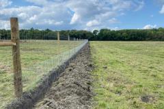 Deer-fencing-4