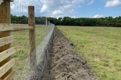 Deer-fencing-5