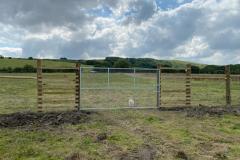 Deer-fencing-6