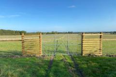 Deer-fencing-7