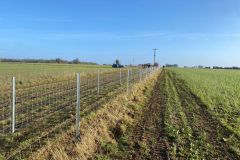 Hedge-Planting-and-fencing-7