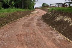 Horse-Track-4