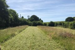 Noll-Services-Paddock-Maintenance-24