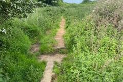 2023-Paths-and-a-Boardwalk-2