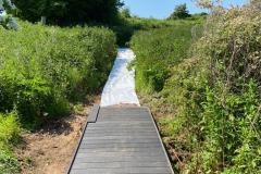 2023-Paths-and-a-Boardwalk-6