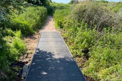 2023-Paths-and-a-Boardwalk-7