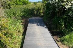 2023-Paths-and-a-Boardwalk-8