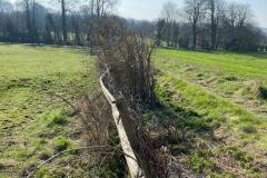 2023-Restoring-a-hedge-and-fence-1