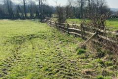 2023-Restoring-a-hedge-and-fence-2
