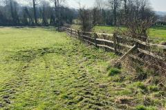 2023-Restoring-a-hedge-and-fence-2