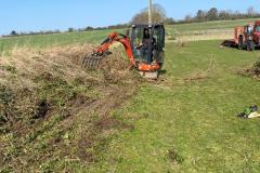 2023-Restoring-a-hedge-and-fence-3