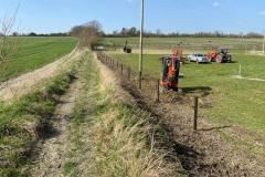 2023-Restoring-a-hedge-and-fence-4