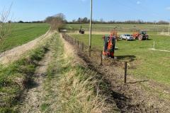 2023-Restoring-a-hedge-and-fence-4