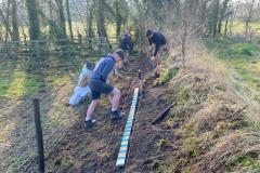 2023-Restoring-a-hedge-and-fence-5