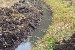 2023-Water-Meadow-1