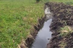 2023-Water-Meadow-2