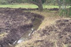 2023-Water-Meadow-3