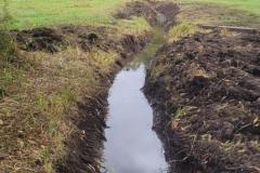 2023-Water-Meadow-4