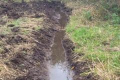2023-Water-Meadow-6