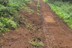 2023-Woodland-Track-2