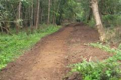 2023-Woodland-Track-3